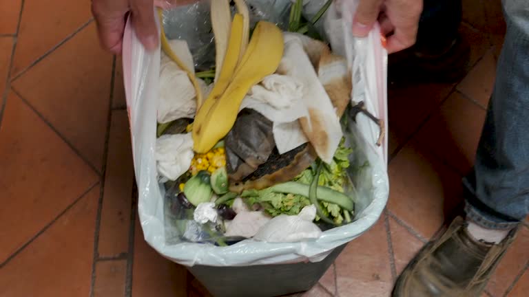 Best Same-Day Junk Removal Services  in Galliano, LA